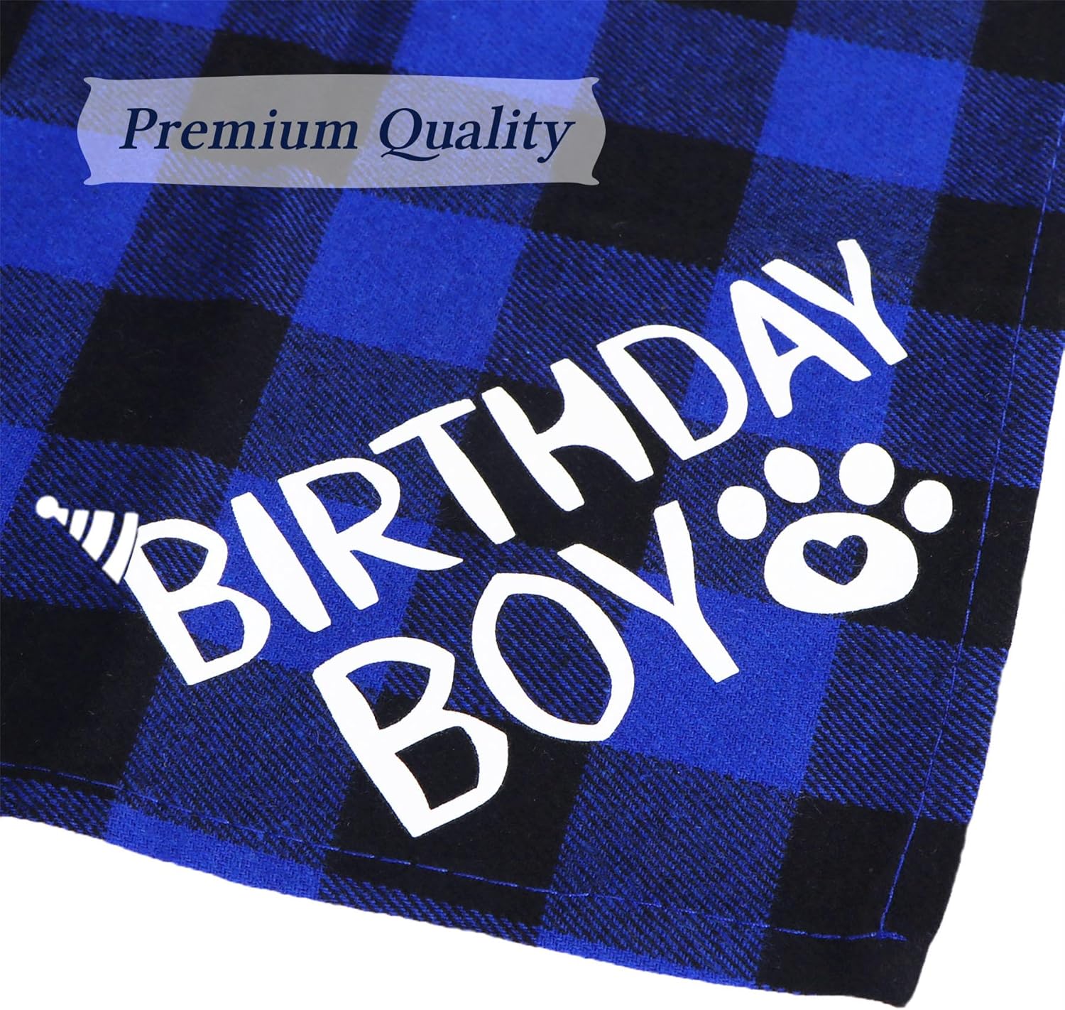 Blue and black checkered fabric with 'Birthday Boy' text and paw print design.