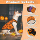 3-Pack Halloween Dog Shirts - Pumpkin, Bat & Spider Patterns
