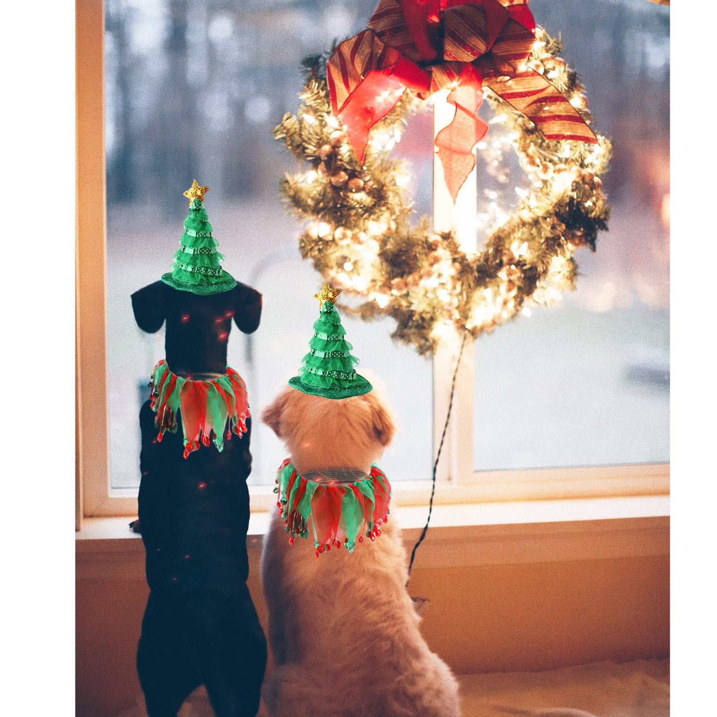 Cat & Small Dog Christmas Costume – Green Hat & Tutu Collar