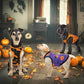 3-Pack Halloween Dog Shirts - Pumpkin, Bat & Spider Patterns