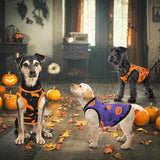 3-Pack Halloween Dog Shirts - Pumpkin, Bat & Spider Patterns