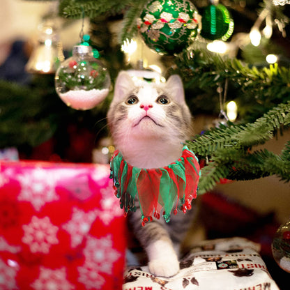 Cat & Small Dog Christmas Costume – Green Hat & Tutu Collar