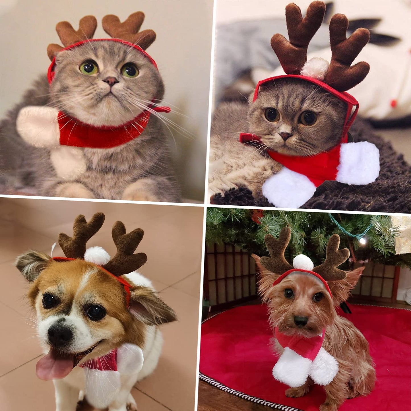 Cat Christmas Costume – Santa Hat & Cloak for Cats and Dogs