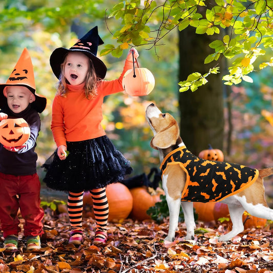 3-Pack Halloween Dog Shirts - Pumpkin, Bat & Spider Patterns