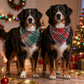 2PCS Christmas Dog Bandanas – Red and Green Plaid with Tassels
