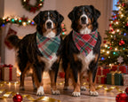 2PCS Christmas Dog Bandanas – Red and Green Plaid with Tassels