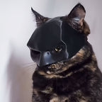 Kitten - Mask