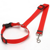 Red dog collar and leash set with black buckles on a white background