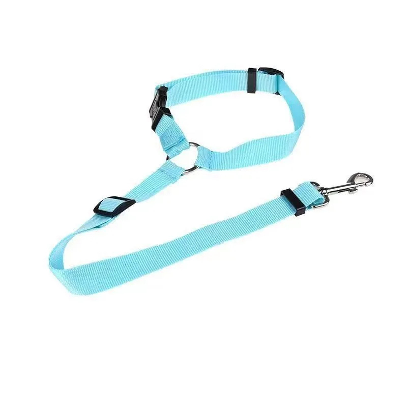 Light blue dog leash with black clips on a white background