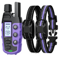Dog training collar with remote and two collars on a white background