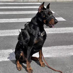 Comfortable & Secure Dog Muzzle for Safer Walks