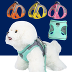 Adjustable Dog Harness & Leash Set for Small Dogs – Comfortable & Safe Walking Gear
