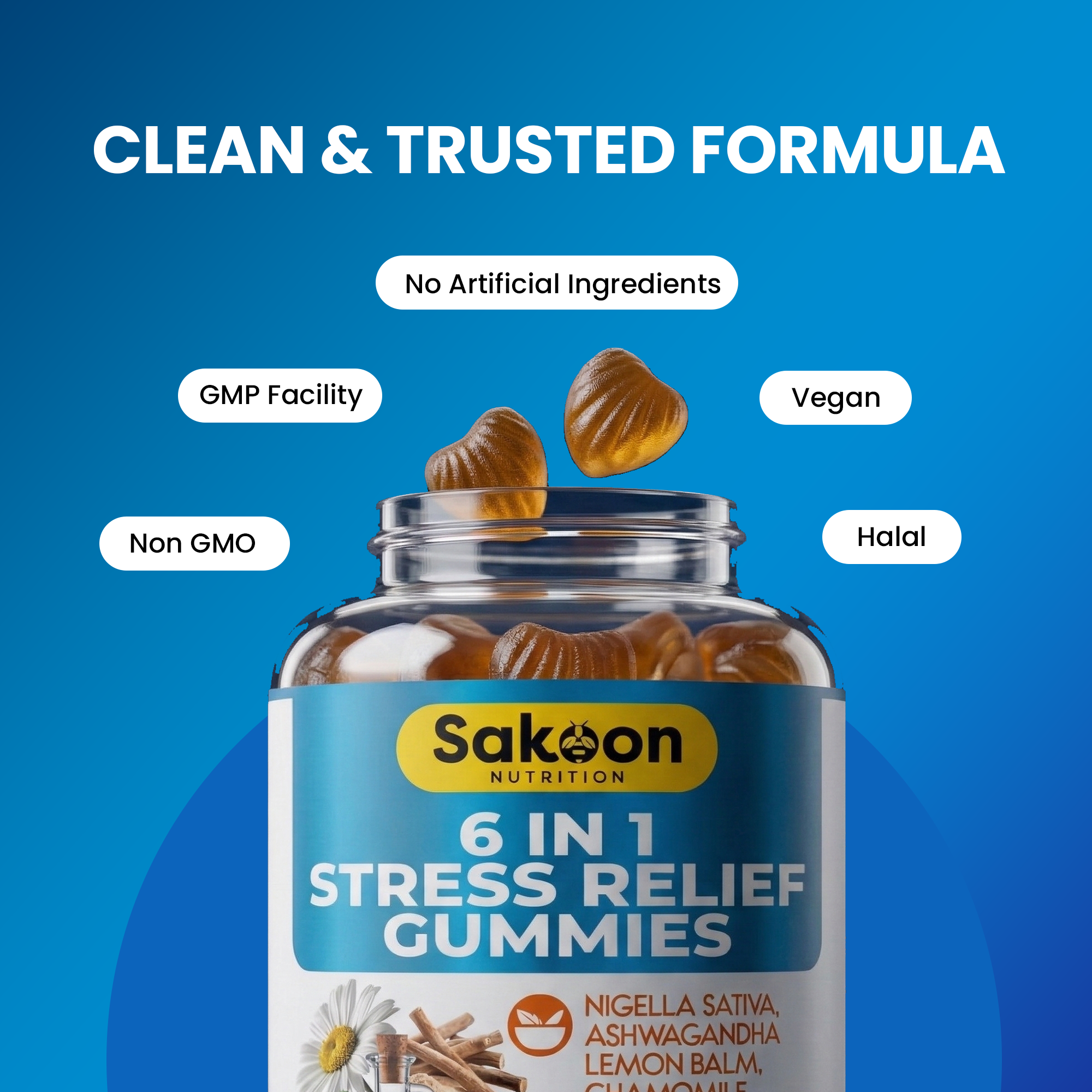 6 in 1 Stress Relief Gummies