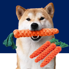 Carrot Rope Dog Chew Toy – Durable Cotton Molar Toy for Puppies & Dogs