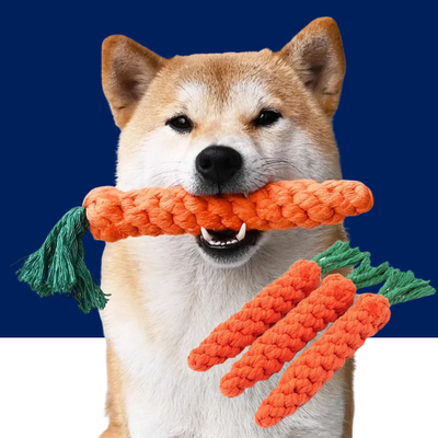 Carrot Rope Dog Chew Toy – Durable Cotton Molar Toy for Puppies & Dogs