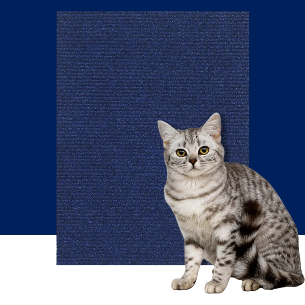 Durable Self-Adhesive Cat Scratch Furniture Protector