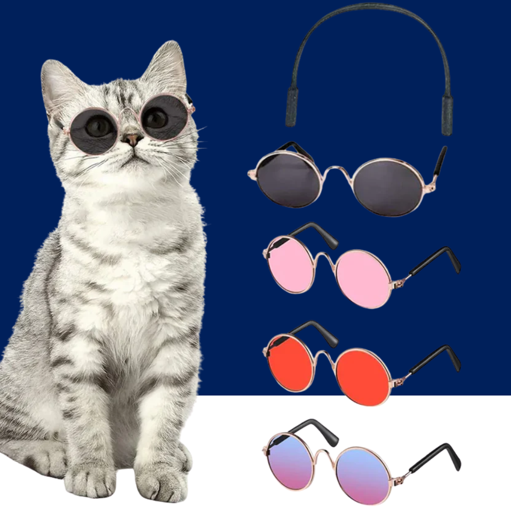 Cat & Dog Sunglasses – UV Protection Pet Photo Props
