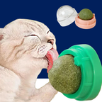 Catnip Wall Ball Treats – Digestive Aid & Fun for Cats