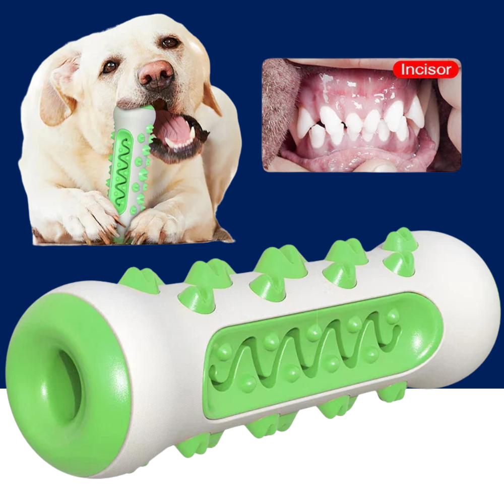 Chew-Resistant Rubber Dog Toy for Dental Health