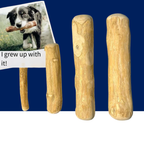 Coffee Wooden Dog Chew Stick – Tooth Pressure Relief Toy