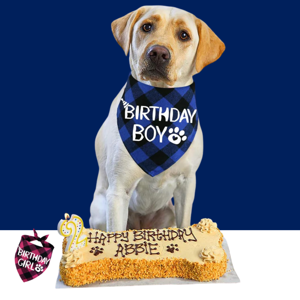 Dog Birthday Bandana – Premium Cotton Birthday Boy Bandana for Dogs