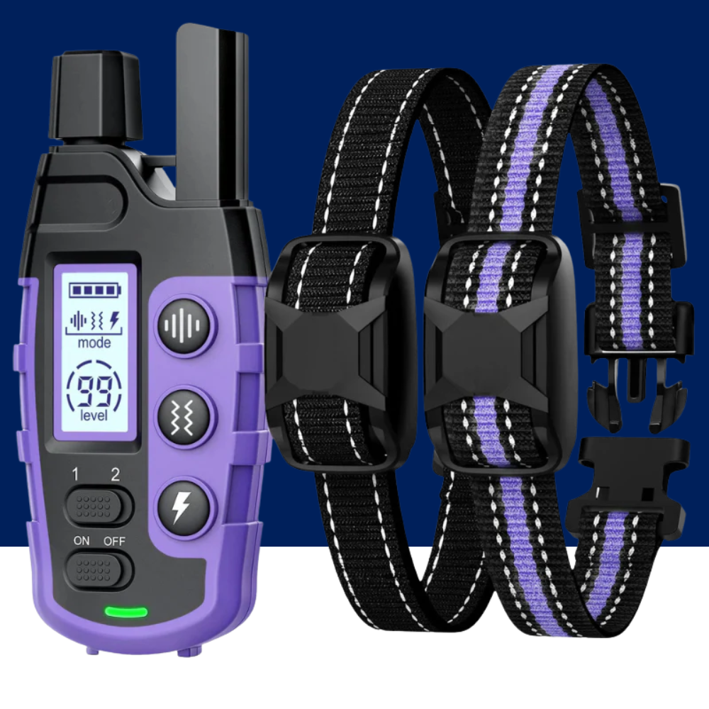 Dog Training Collar – Waterproof with Remote Shock & Vibration