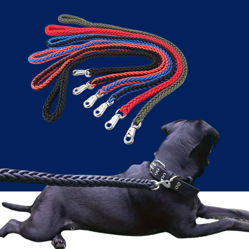 Durable Braided Rope Dog Leash for Strong Pullers