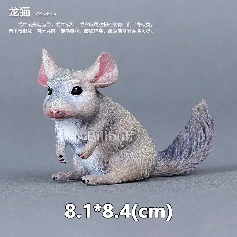 Simulation Wild Animals Zoo Wolf Monkey Fox Chameleon Pangolin Squirrel Chinchilla Donkey Sloth Model Figures Educational Toys