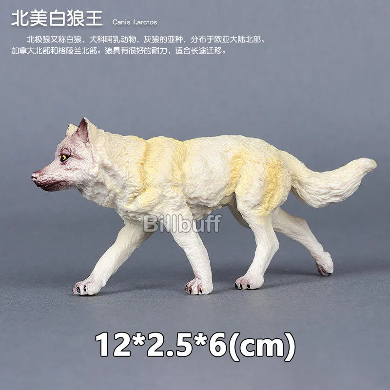 Simulation Wild Animals Zoo Wolf Monkey Fox Chameleon Pangolin Squirrel Chinchilla Donkey Sloth Model Figures Educational Toys