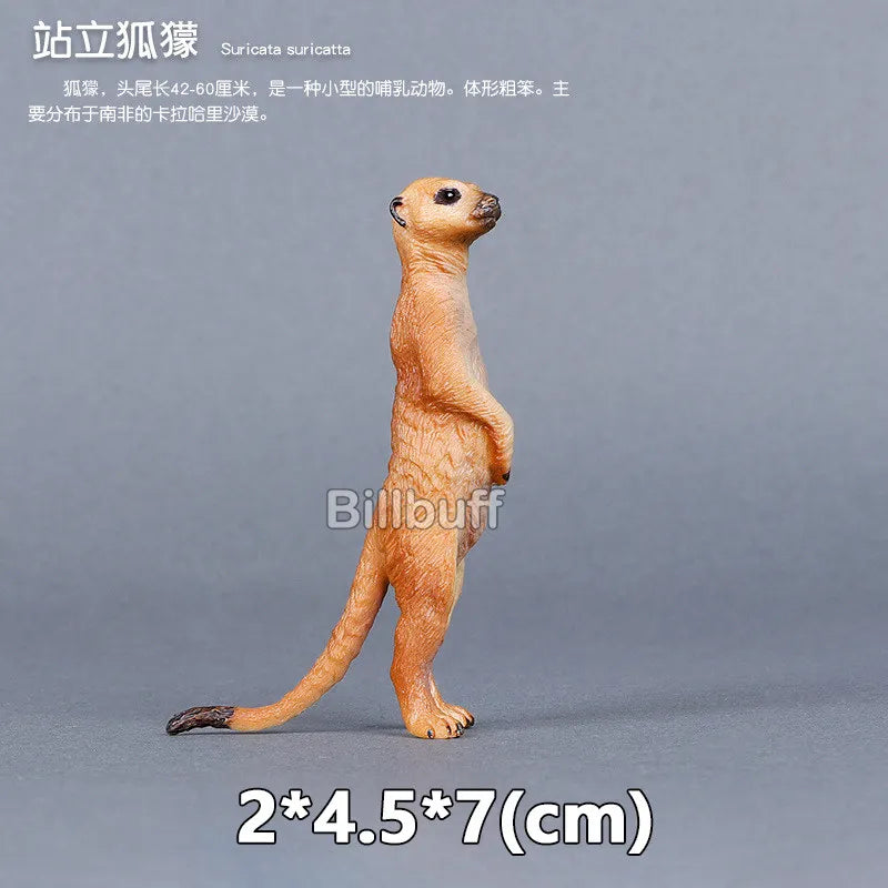 Simulation Wild Animals Zoo Wolf Monkey Fox Chameleon Pangolin Squirrel Chinchilla Donkey Sloth Model Figures Educational Toys