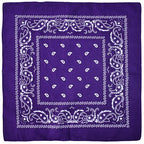 Hot Sell Kerchief Bandana Hip Hop Fashion Headband Neck Scarf Sports Headwear Wrist Wraps Head Square Scarves