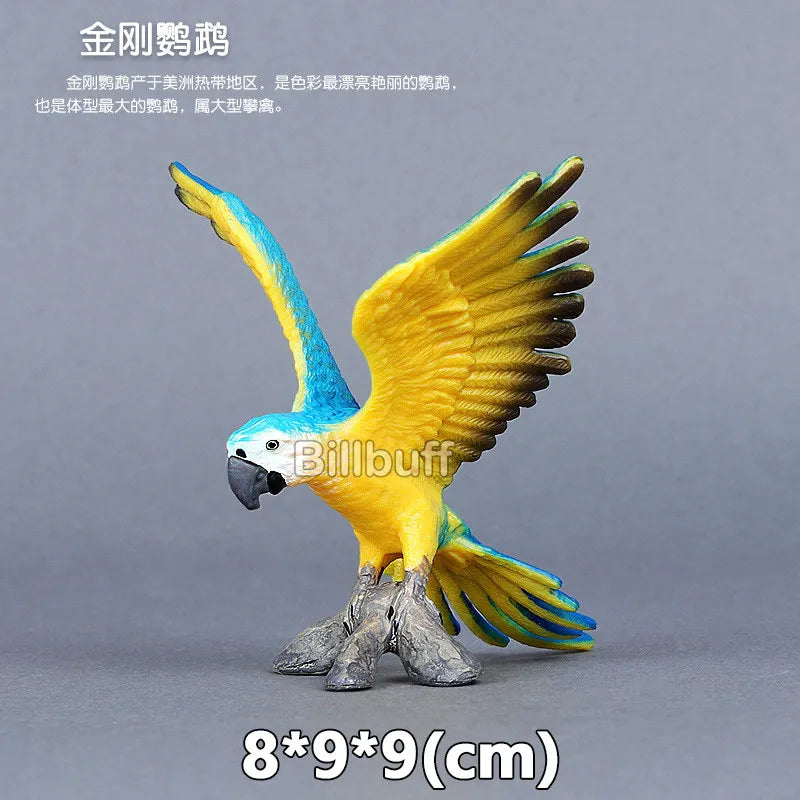 Simulation Wild Animals Zoo Wolf Monkey Fox Chameleon Pangolin Squirrel Chinchilla Donkey Sloth Model Figures Educational Toys