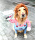 Halloween Dog Costumes Funny Pet Clothes Adjustable Dog Cosplay Costume Sets Novelty Clothing For Medium Large Dogs Bulldog Pug - WTN Essentials 