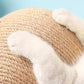 Cat Scratching Ball Toy  Board Grinding Paws Toys