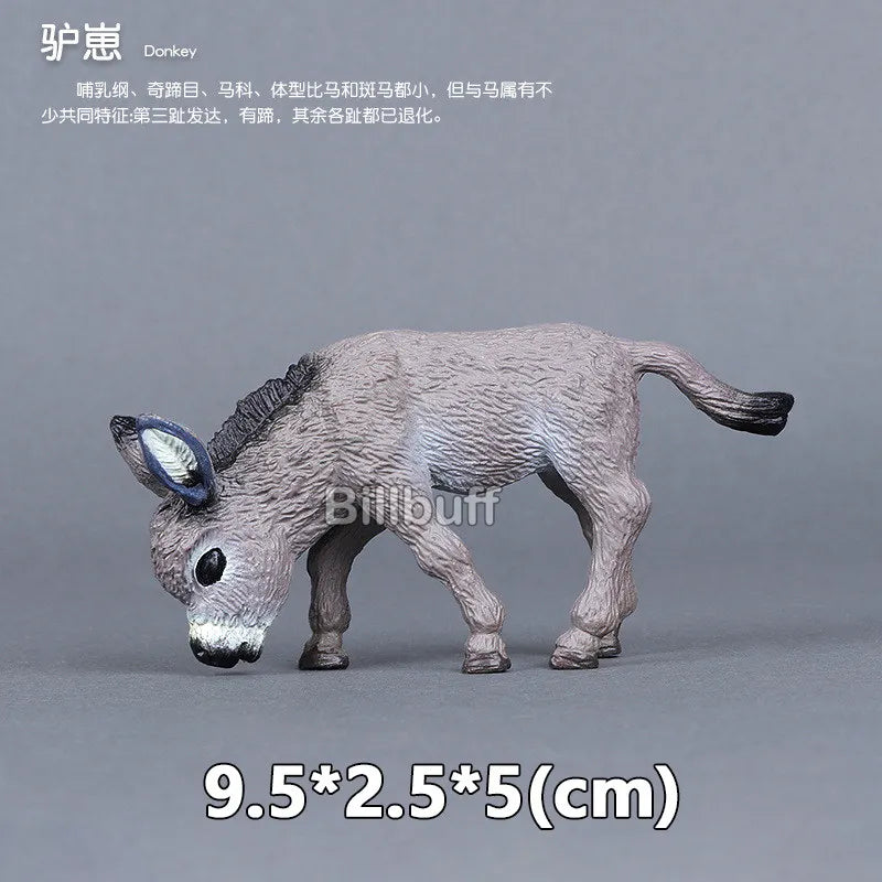 Simulation Wild Animals Zoo Wolf Monkey Fox Chameleon Pangolin Squirrel Chinchilla Donkey Sloth Model Figures Educational Toys