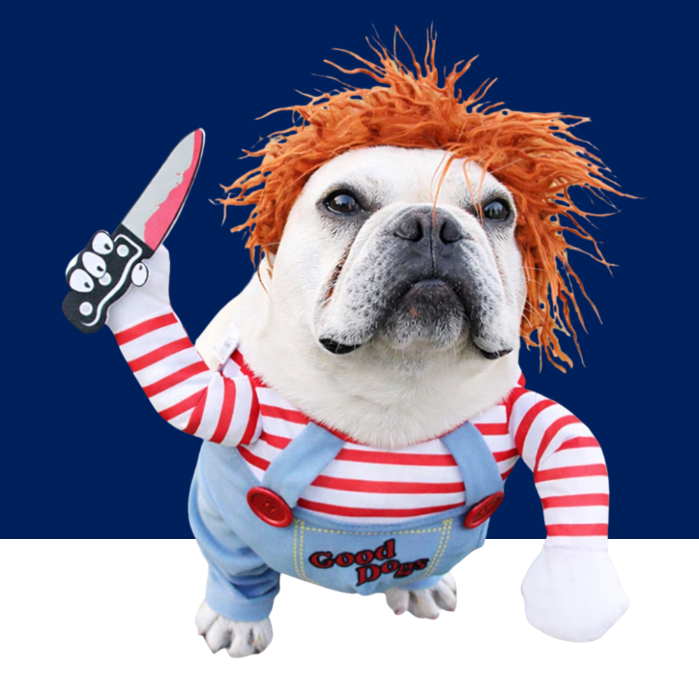 Halloween Dog Costume – Funny Adjustable Cosplay for Medium & Large Dogs