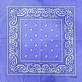 New Design Fashion Hip Hop Cotton Bandana Square Cashew Scarf Headband Tie Dye Black Red Paisley Gifts For Women/Men/Boys/Girls