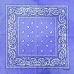 New Design Fashion Hip Hop Cotton Bandana Square Cashew Scarf Headband Tie Dye Black Red Paisley Gifts For Women/Men/Boys/Girls
