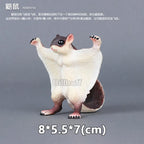 Simulation Wild Animals Zoo Wolf Monkey Fox Chameleon Pangolin Squirrel Chinchilla Donkey Sloth Model Figures Educational Toys