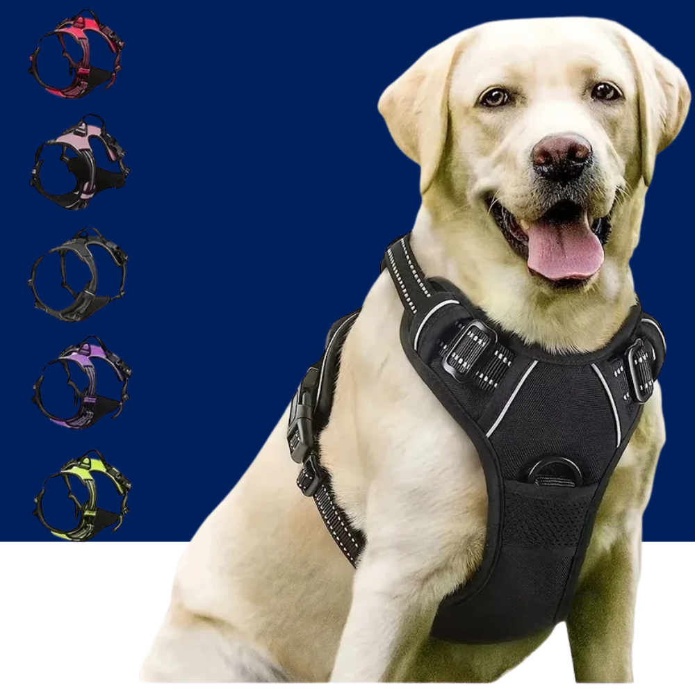 Heavy Duty Tactical Dog Harness with Handle