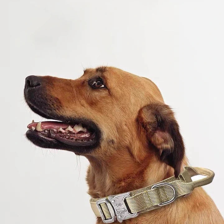 Pet Dog Collar Leash Set Nylon Material Durable Dog Collar Reflective Leash Pet Tactical Training Dog Collar Large Dog Leash Set - WTN Essentials 