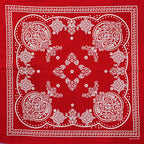 New Design Fashion Hip Hop Cotton Bandana Square Cashew Scarf Headband Tie Dye Black Red Paisley Gifts For Women/Men/Boys/Girls
