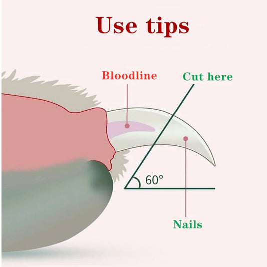 LED Pet Nail Clipper Claw Grooming Scissors for Cats Small Dogs - WTN Essentials 