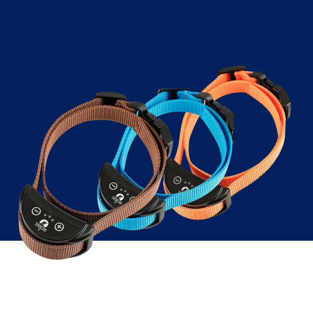 Humane Anti-Bark Collar for Peaceful, Quiet Training
