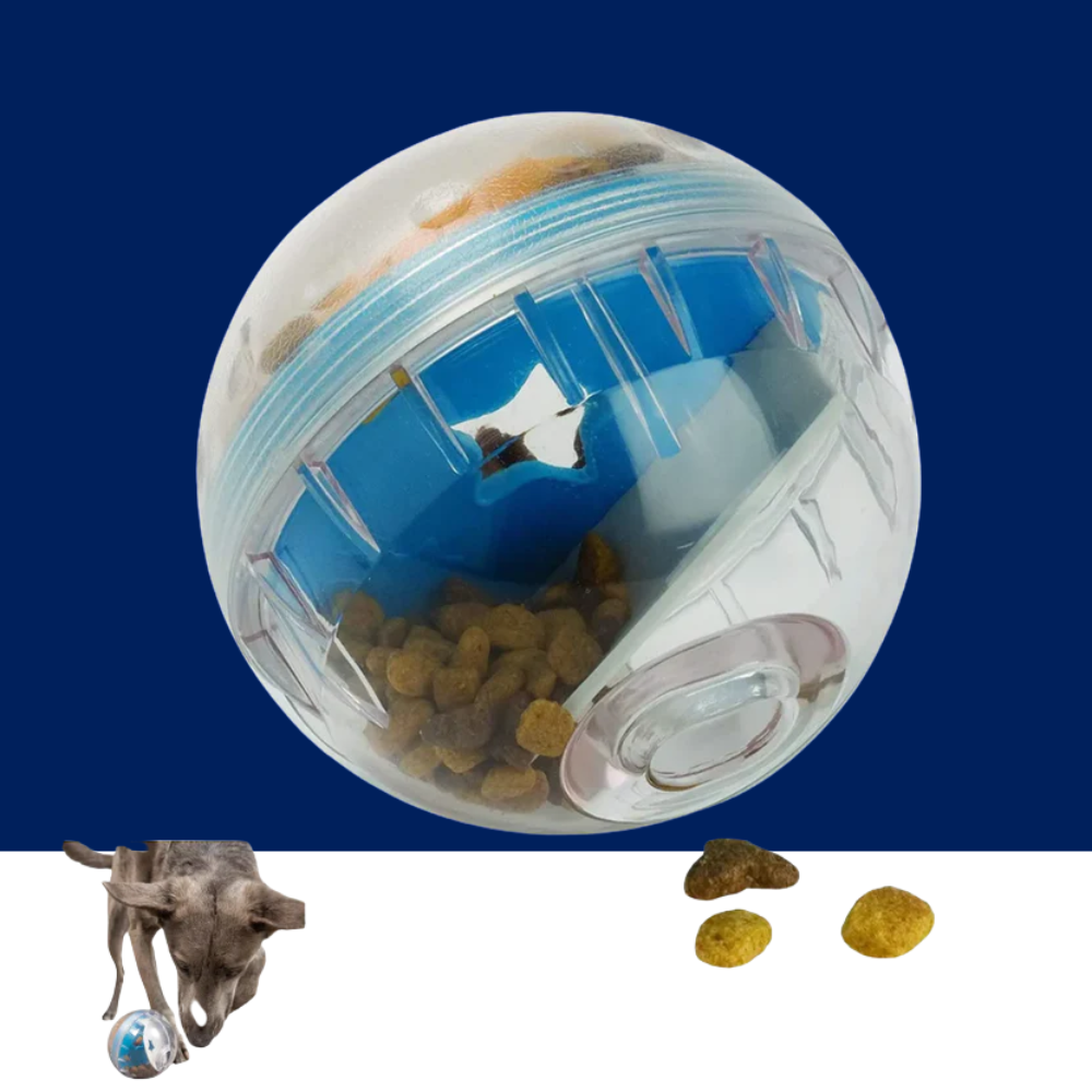 IQ Treat Ball Dog Food Dispenser & Interactive Toy