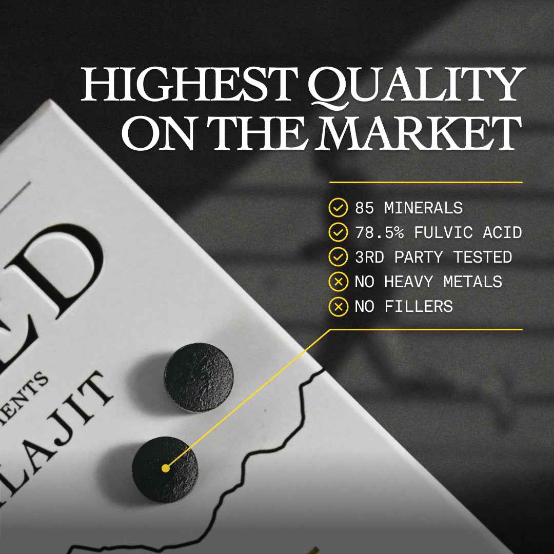 Shilajit Tablets