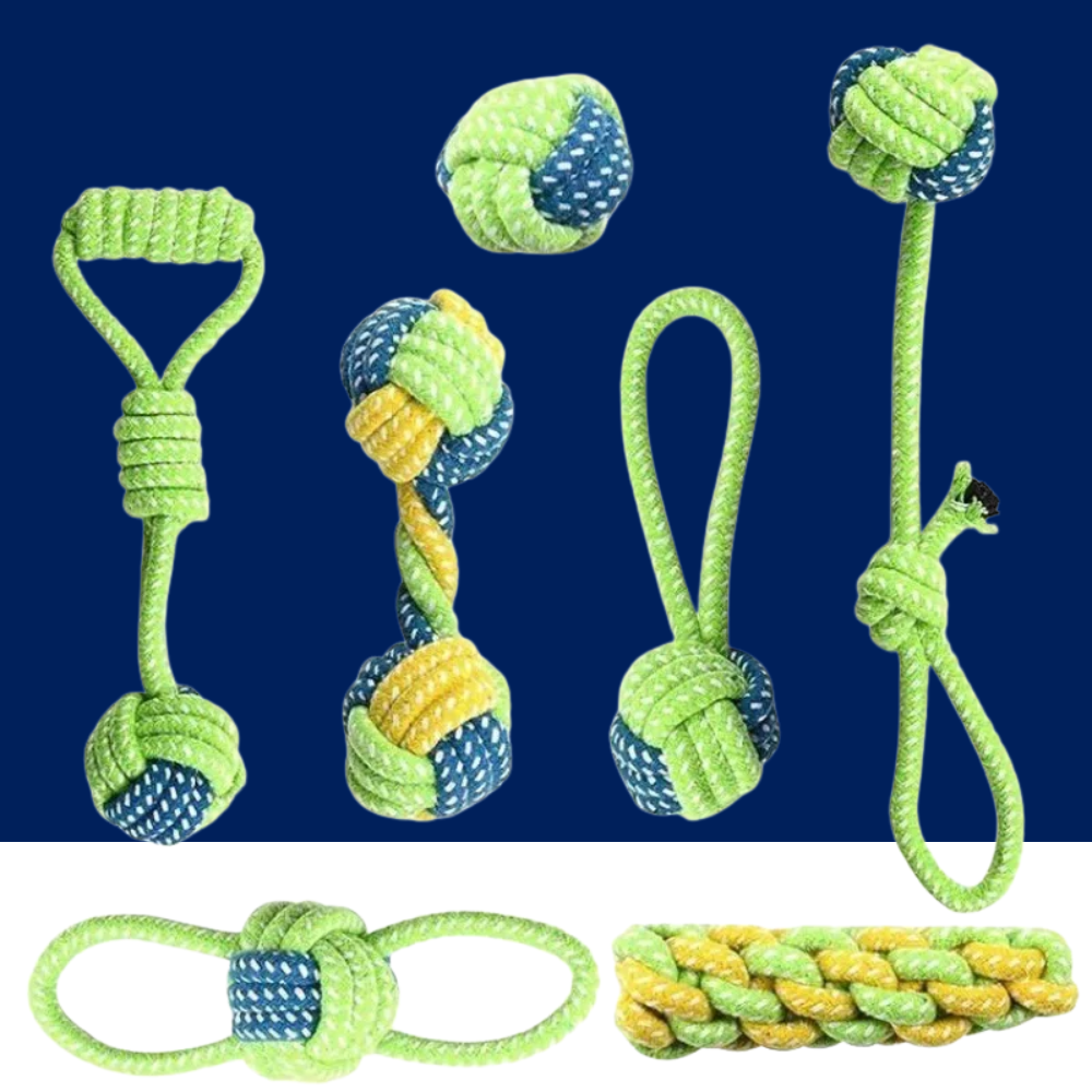 Interactive Cotton Rope Dog Toys for Puppies & Adults