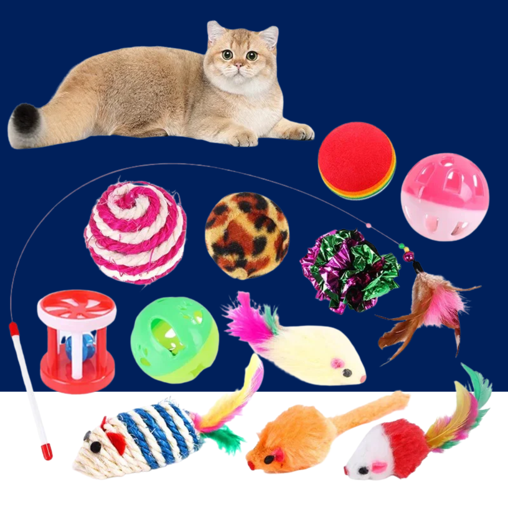 Kitten Toys Variety Pack – Interactive Play Set for Curious Cats