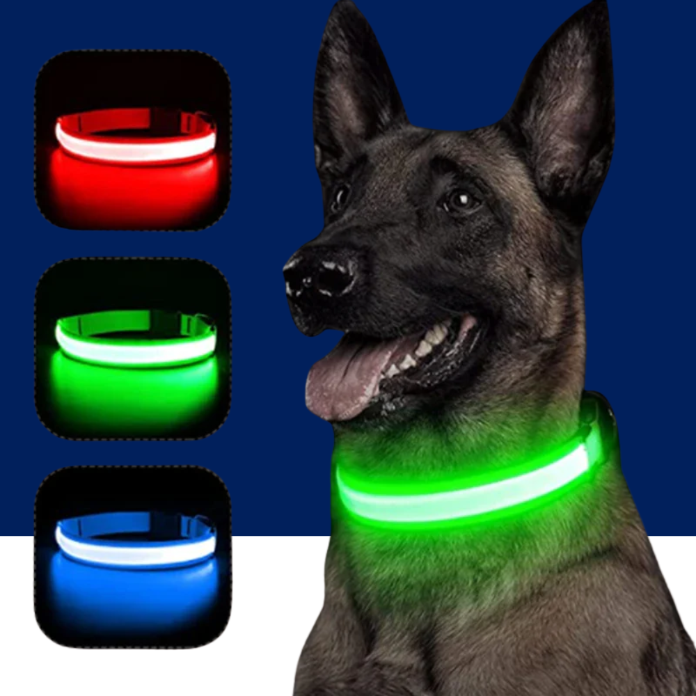LED Pet Dog Collar for Night Safety | Bright USB Rechargeable