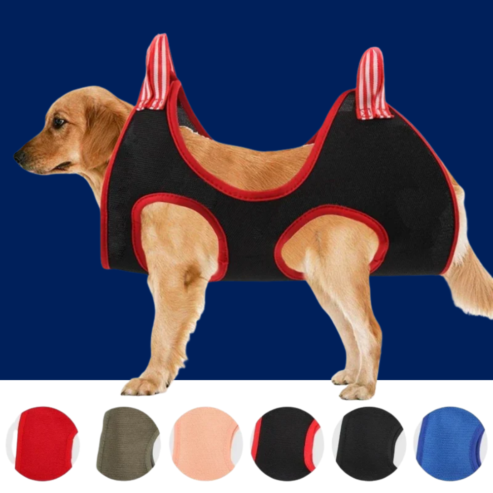 Pet Grooming Hammock for Dogs and Cats